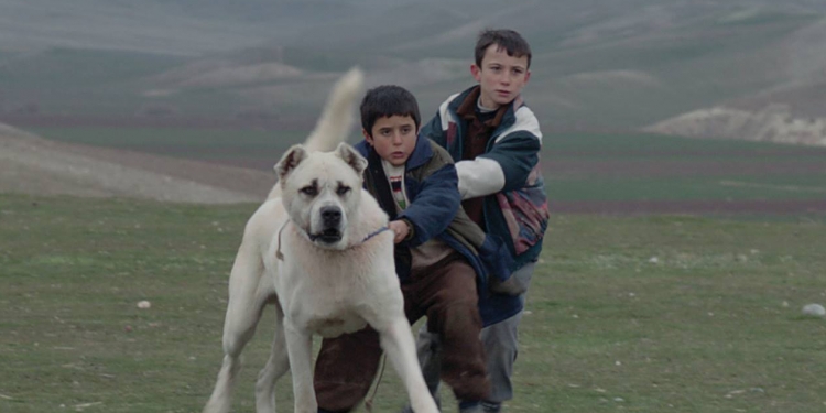 Sivas’a İki Önemli Ödül Daha!