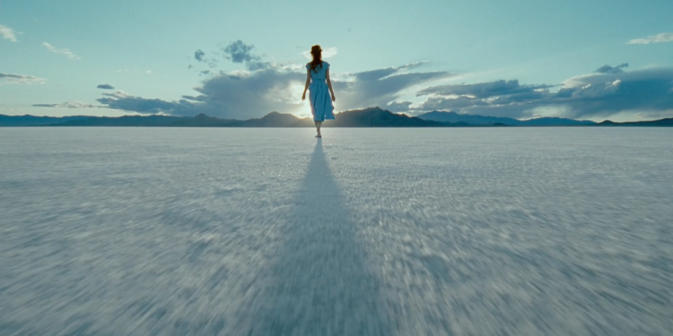 Terrence Malick Motifleri