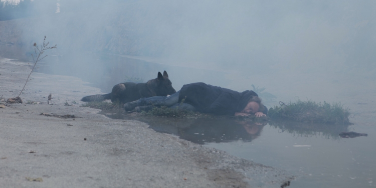 Kameraya Akü Bulamıyorlar, Geyik Mi Bulacaklar?: Neden Tarkovski Olamıyorum…