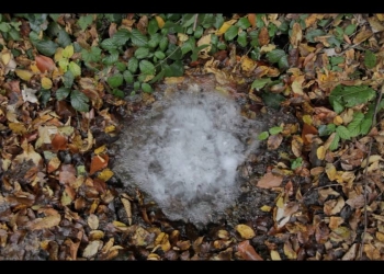 “PRIZMA GROUP SHOW #2” 02–23 Nisan tarihleri arasında PRIZMASPACE’de!