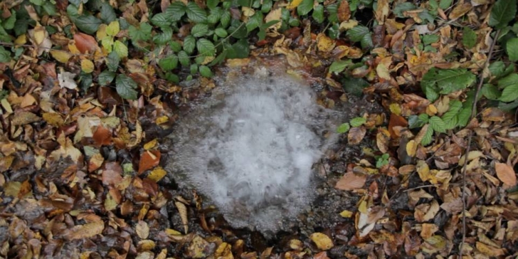 “PRIZMA GROUP SHOW #2” 02–23 Nisan tarihleri arasında PRIZMASPACE’de!