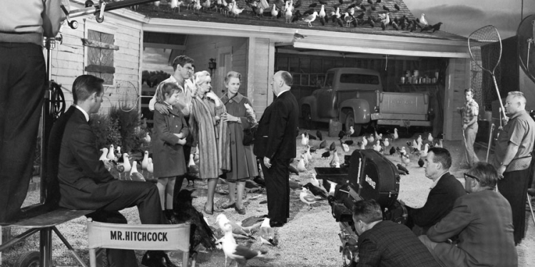 Bir De Kameranın Ardından Bakalım!