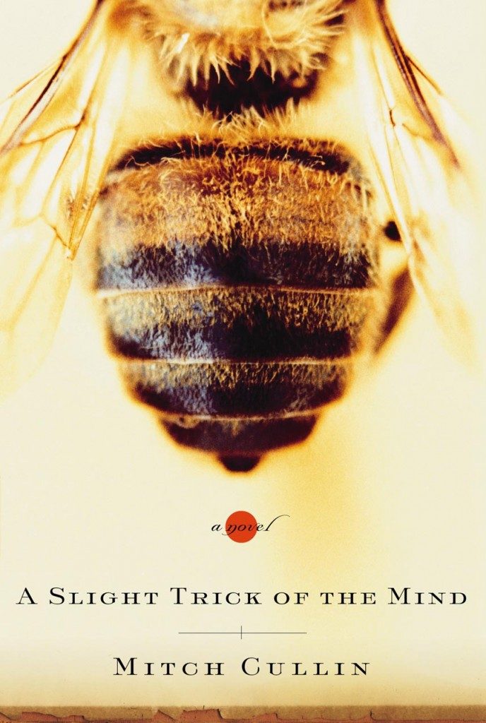 A-Slight-Trick-of-the-Mind-Book-Cover