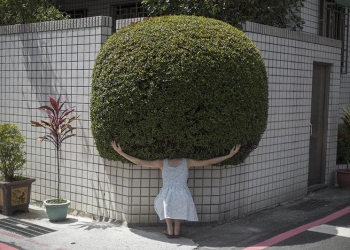 FOTOĞRAF :  YUNG CHENG LIN