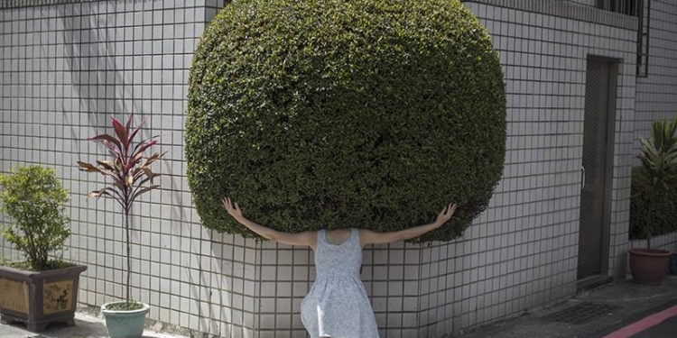 FOTOĞRAF :  YUNG CHENG LIN