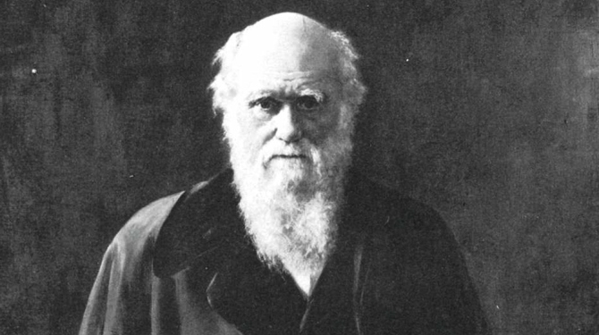 Disney Bir Charles Darwin Filmi Çekecek