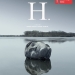 H. (2014)
