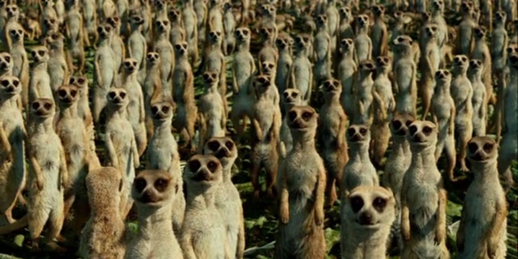 Life of Pi: İnsanın Temelleri