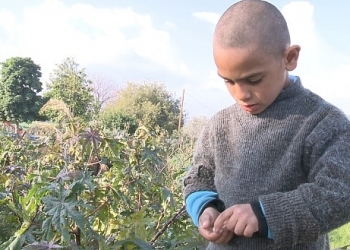 Pennies: İsrail, Filistin ve Bedel Ödeyen İki Dilenci Çocuk