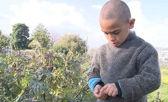 Pennies: İsrail, Filistin ve Bedel Ödeyen İki Dilenci Çocuk