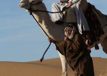 Nicole Kidman, James Franco, Robert Pattinson ve Damian Lewis’i buluşturan film!