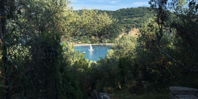Deniz, güneş ve limon ağaçları ile bezeli Liguria günleri başlasın! Gün 1: Portovenere…