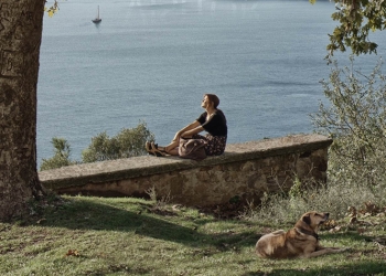 Montreal Film Festivali’nde Üç Türk Filmi Yarışacak