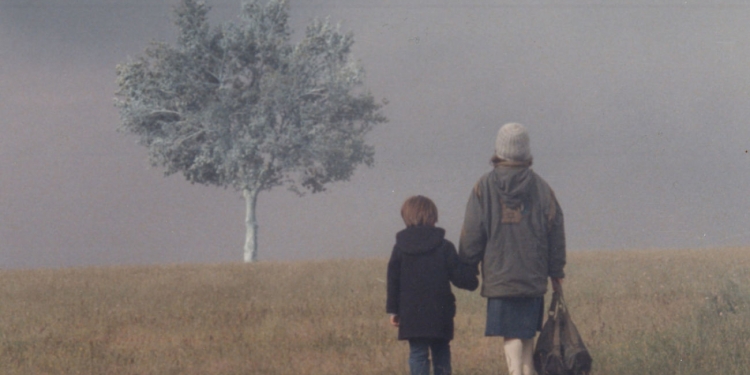 Sarı Yağmurluk, Puslu Karanlıklar: Landscape In The Mist