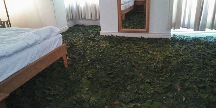 Tuzlu Su: Doğduk ve Yaşamak Hakkımız