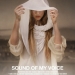 Sound of My Voice (2011)