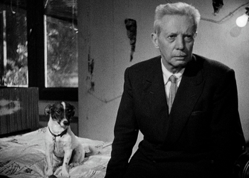 İnsanlık Tarihi’ne Ücretsiz Yolculuk!