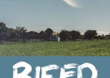 Bozcaada Uluslararası Ekolojik Belgesel Festivali Başlıyor