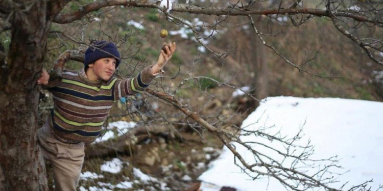 Dünyaca Ünlü Piyanist David Helfgott 23 Kasım’da İstanbul’da!