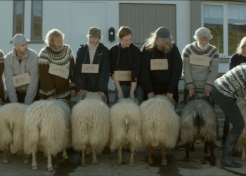 Filmekimi 2015 İzlenimleri – Kuzeyden Esen Sıcak Rüzgâr: Rams