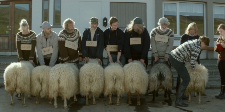 Filmekimi 2015 İzlenimleri – Kuzeyden Esen Sıcak Rüzgâr: Rams