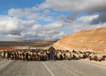 Otantik Bir Kaçış : Mardin – II