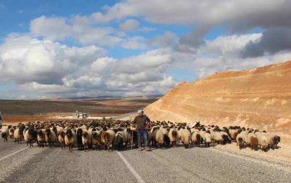 Otantik Bir Kaçış : Mardin – II