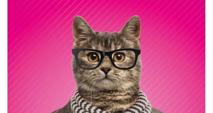 İzmir’in Film Festivali Başlıyor!