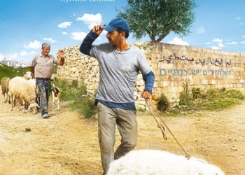 When Pigs Have Wings (2011)