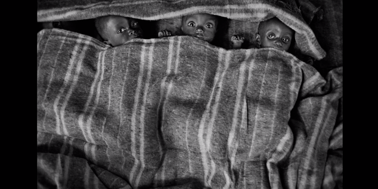 O Şehirde Büyük Rüzgâr Vardır: The Salt of the Earth