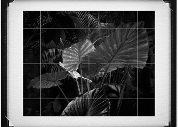 Buzlu Cam Sergisi 5 Mart’a Kadar Devam Ediyor