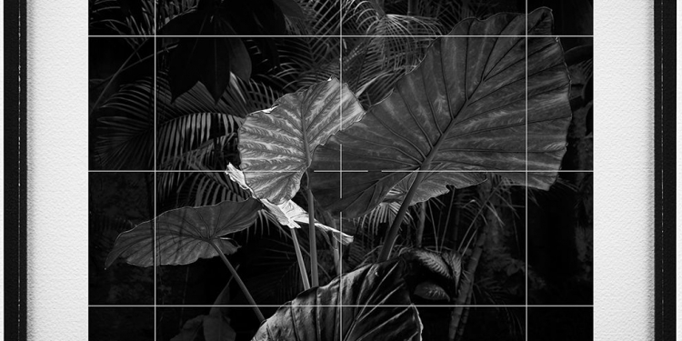 Buzlu Cam Sergisi 5 Mart’a Kadar Devam Ediyor