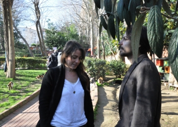 Kedilerin Gözünden İstanbul: Ceyda Torun ile Söyleşi