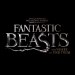 Fantastic Beasts and Where to Find Them’den Türkçe Fragman Geldi!