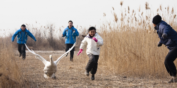 27. Ankara Uluslararası Film Festivali, Küçük İzleyicileri Unutmuyor