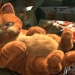 Garfield Geri Dönüyor!