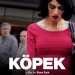 Köpek (2015)
