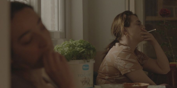 Biz Kaybolduk: Toz Bezi