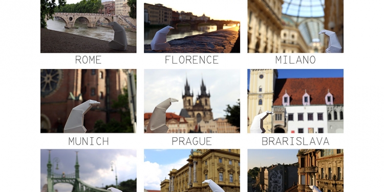 Kutup Ayısı Son Olarak İstanbul’da