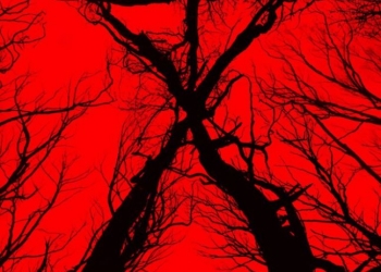 Korkmaya Hazır Olun: Blair Witch’ten Fragman Geldi!