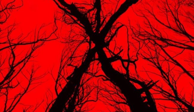 Korkmaya Hazır Olun: Blair Witch’ten Fragman Geldi!
