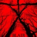 Korkmaya Hazır Olun: Blair Witch’ten Fragman Geldi!