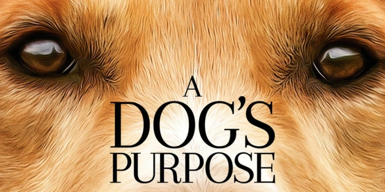 A Dog’s Purpose Filminin Fragmanı Yayımlandı