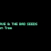 Yeni Nick Cave and The Bad Seeds Belgeselinden Fragman Yayımlandı!