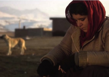 Gitmek: Benim Marlon ve Brandom, Aşkım, Yurtsuzluğum…