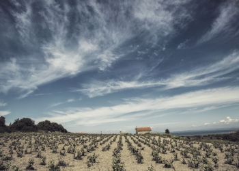 3. Bozcaada Uluslararası Ekolojik Belgesel Festivali Başlıyor