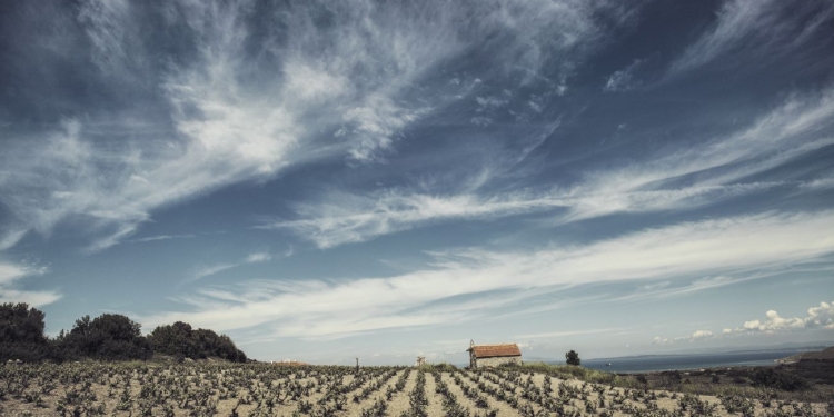 3. Bozcaada Uluslararası Ekolojik Belgesel Festivali Başlıyor