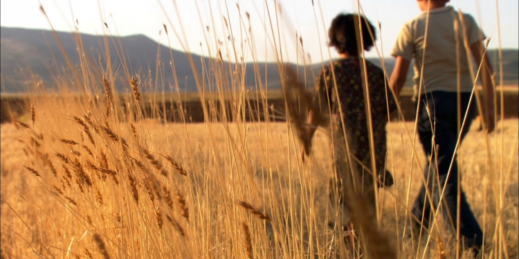 Gidiyom Ben Gül Fatma – Mommo: Kız Kardeşim