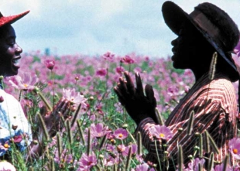 Kadın Olmanın Rengi: The Color Purple