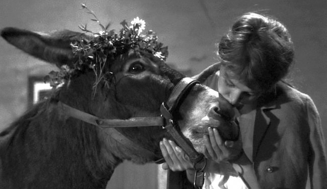 Bir Derviş Olarak Balthazar ve Bresson: Au Hasard Balthazar